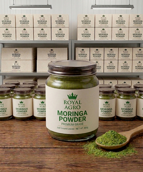 Moringa Powder Processing
